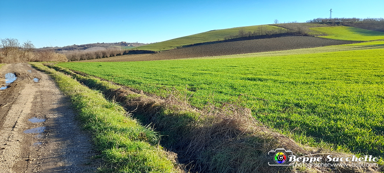 20230110_153145 - Dalla terra... il grano.jpg